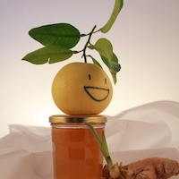 L'aboutissement du projet