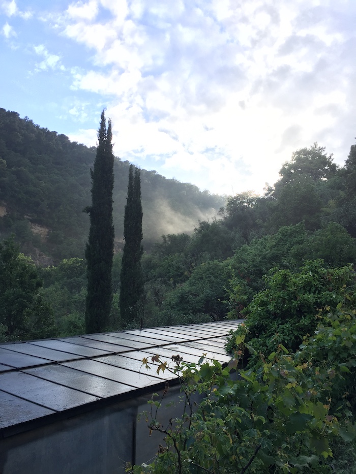 l'environnement de notre ferme, un environnement préservé exceptionnel