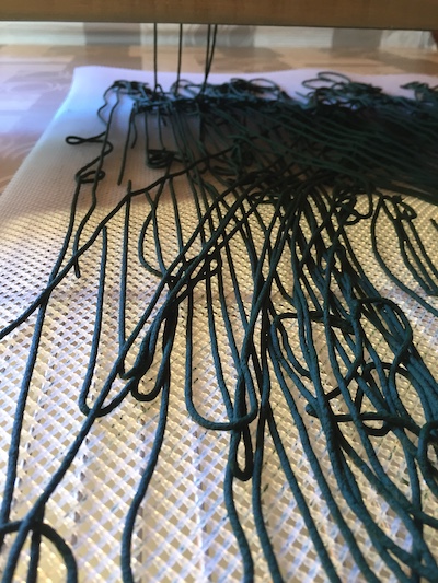 Cette spiruline produite en région provence alpes côte d'azur est transformée dans un local dédié et climatisé